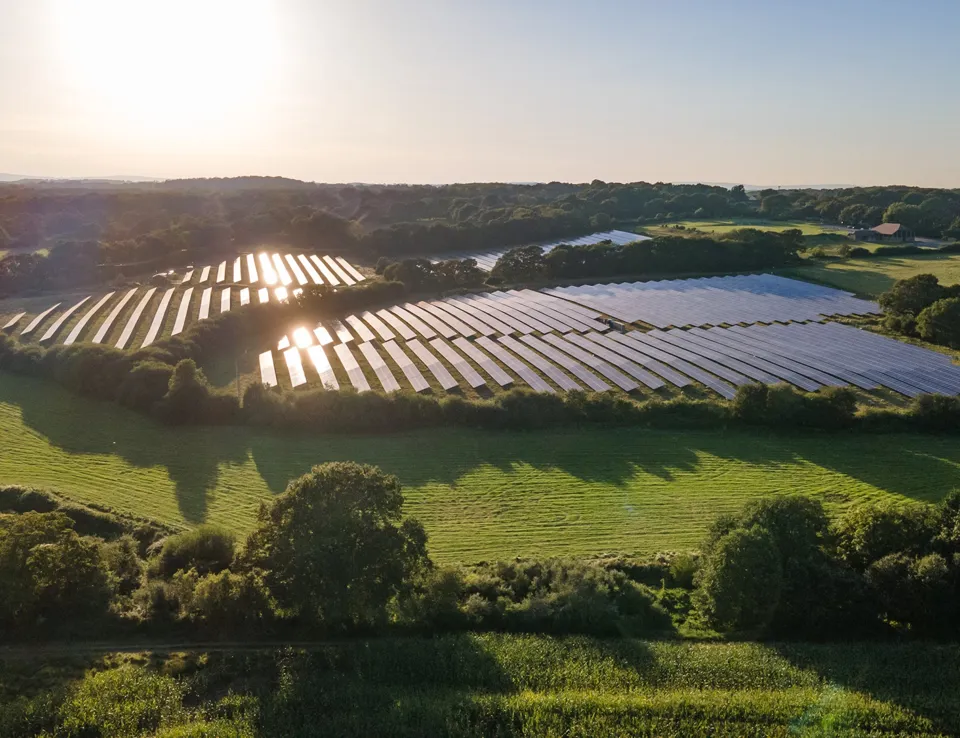 Renewable Energy UK Ricardo