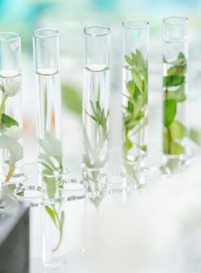 Laboratory Testing Ect Ecotox Bio Chem 2334106349